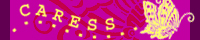 ������搶�yCARESS�z