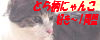 �����ق���y�Ƃ畿�ɂ�񂱓����zNo.5